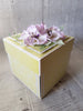 GoatBox Exploding box - eco craft - Crafty Wizard