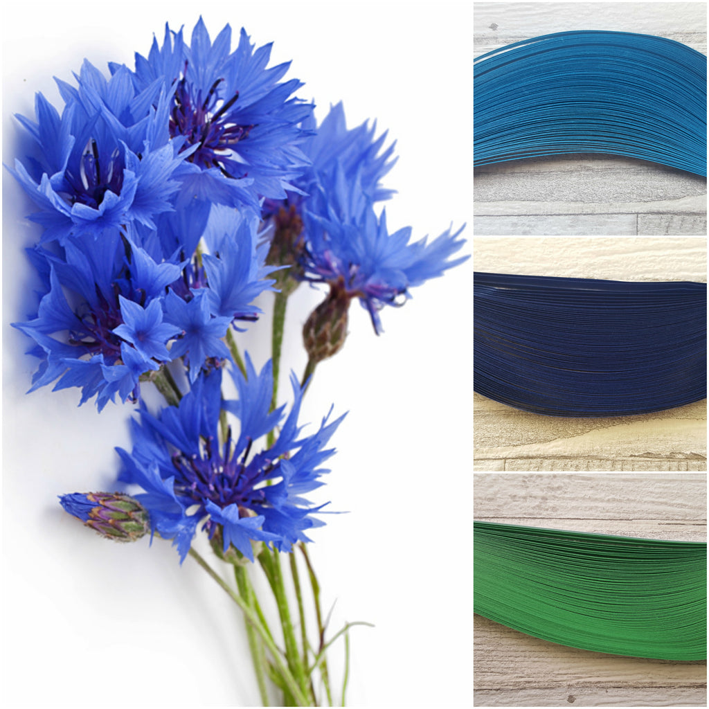 Quill in the colours that inspire you!