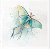 Butterflies - rice paper set - Crafty Wizard