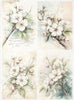 Assorted rice paper set 12