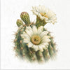 Desert Flowers 1 - rice paper set