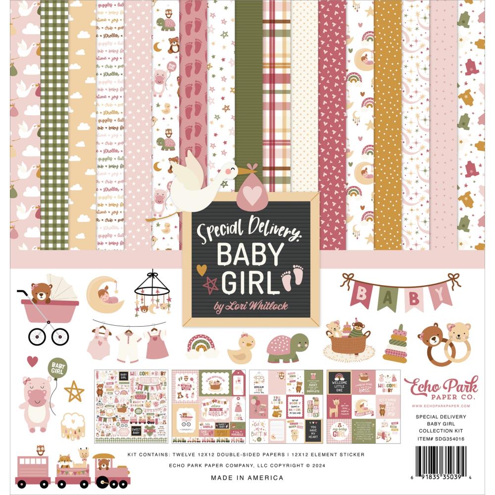12" x 12" paper pad - Special Delivery Baby Girl