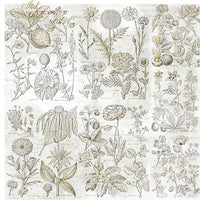 11.8" x 12.1" ITD Collection - Set 13 - mixed design paper sheets
