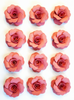 Handmade paper flowers