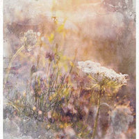 Summer Meadow -  Mixed media set