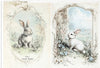 Assorted rice paper set 5 - Crafty Wizard