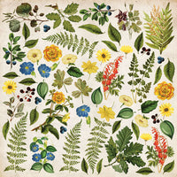 12" x 12" paper pad - Summer Botanical Story