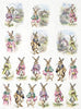Assorted rice paper set 8
