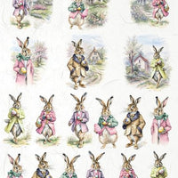 Assorted rice paper set 8