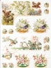 Assorted rice paper set 8
