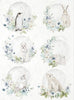 Assorted rice paper set 8