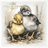 Chicks - rice paper set