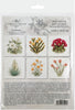 Desert Flowers 2 - rice paper set