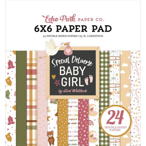 6" x 6" paper pad - Special Delivery Baby Girl