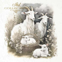 Sheep 1 - rice paper set