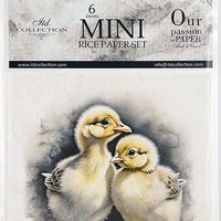 Chicks - rice paper set