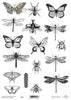 A4 transparent foil set - various designs