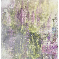 Summer Meadow -  Mixed media set