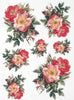 Assorted rice paper set 5