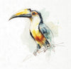Tropical Birds - rice paper set - Crafty Wizard