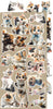 15.25 cm x 31.5 cm  paper pad - Lovely Pets Creative Extras