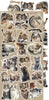 15.25 cm x 31.5 cm  paper pad - Lovely Pets Creative Extras