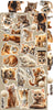 15.25 cm x 31.5 cm  paper pad - Lovely Pets Creative Extras