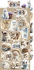 15.25 cm x 31.5 cm  paper pad - Lovely Pets Creative Extras