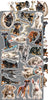 15.25 cm x 31.5 cm  paper pad - Lovely Pets Creative Extras