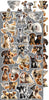 15.25 cm x 31.5 cm  paper pad - Lovely Pets Creative Extras