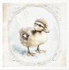Home sweet home ducks - rice paper set