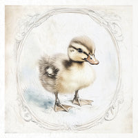 Home sweet home ducks - rice paper set