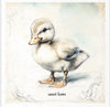 Home sweet home ducks - rice paper set