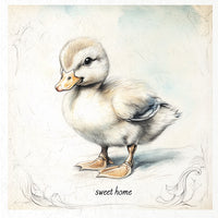 Home sweet home ducks - rice paper set