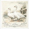 Geese 2 - rice paper set