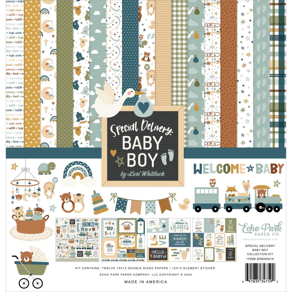 12" x 12" paper pad - Special Delivery Baby Boy