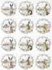 Assorted rice paper set 8