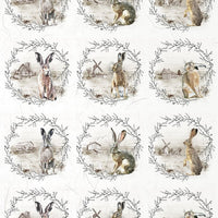 Assorted rice paper set 8