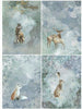 Assorted rice paper set 2
