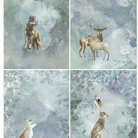 Assorted rice paper set 2