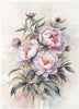 Assorted rice paper set 16