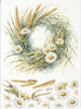 Assorted rice paper set 9