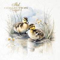 Ducklings - rice paper set