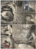 Assorted rice paper set 2