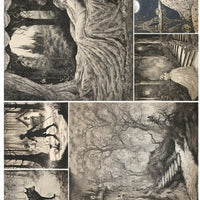 Assorted rice paper set 2
