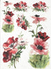 Assorted rice paper set 5