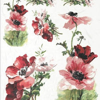Assorted rice paper set 5