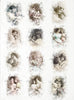 Assorted rice paper set 2 - Crafty Wizard