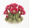Desert Flowers 2 - rice paper set