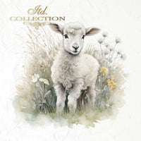 Sheep 1 - rice paper set